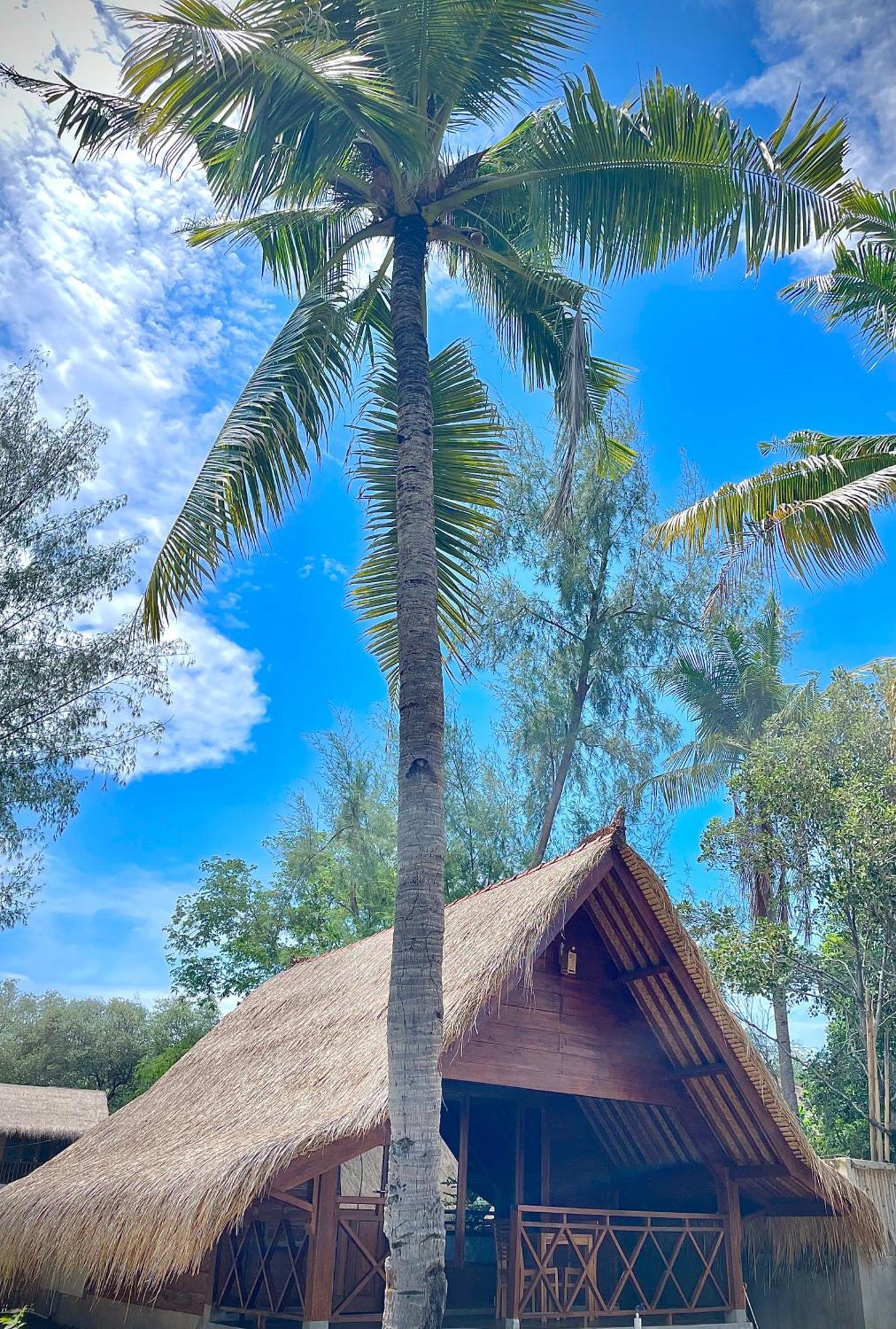 Saja Cottage, Gili Meno Exteriér fotografie
